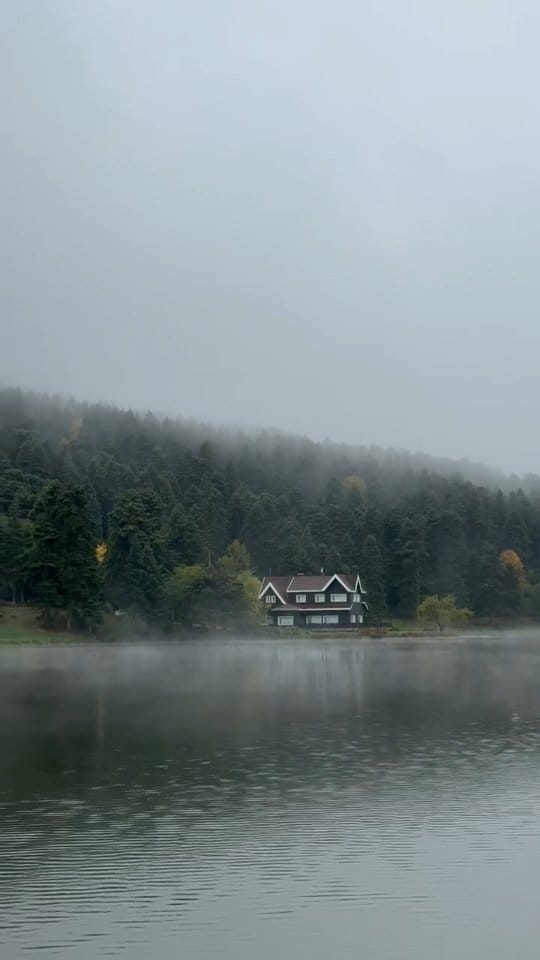 Post 3 by 𝓔.𝓣𝓮𝓴𝓲𝓷 on Instagram (video)