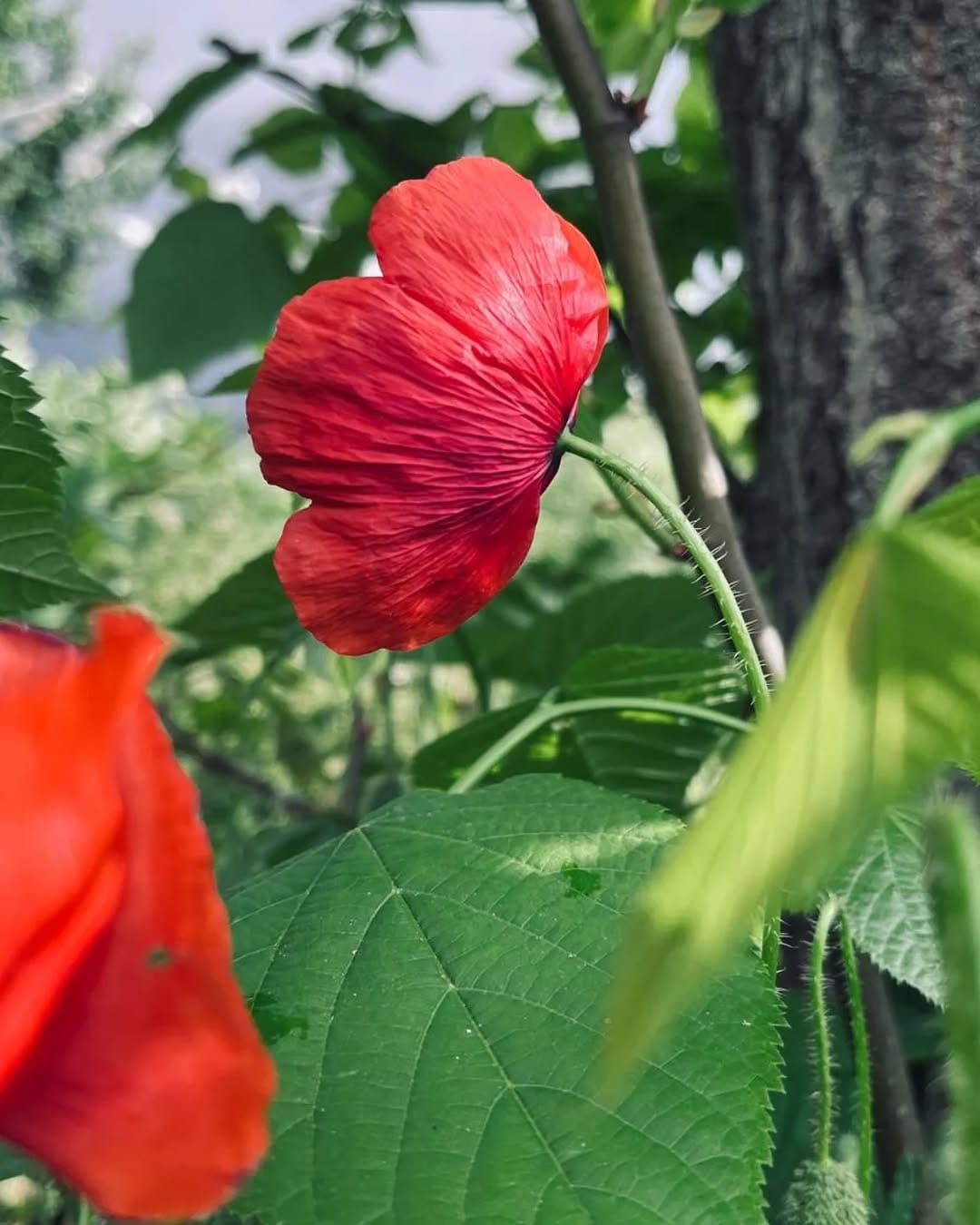 Post 6 by 𝓔.𝓣𝓮𝓴𝓲𝓷 on Instagram (image)