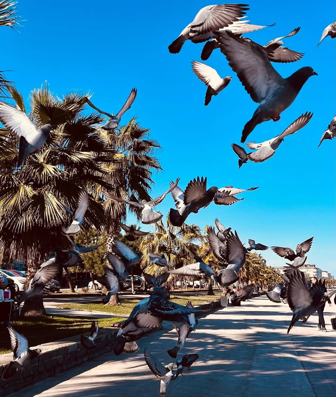 Post 10 by 𝓔.𝓣𝓮𝓴𝓲𝓷 on Instagram (image)
