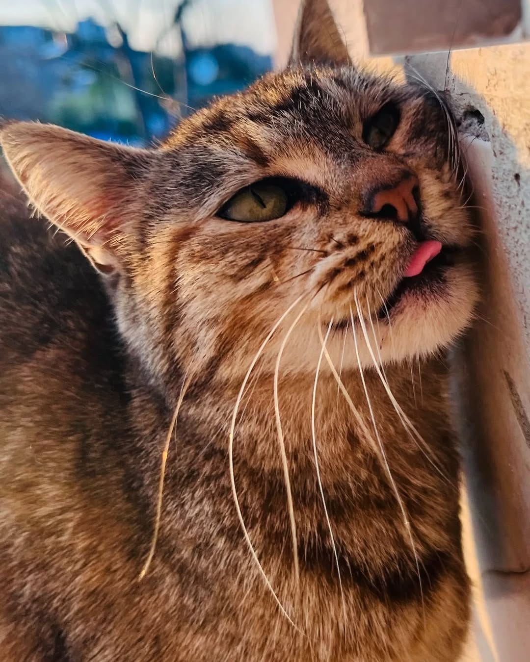 Post 7 by 𝓔.𝓣𝓮𝓴𝓲𝓷 on Instagram (image)