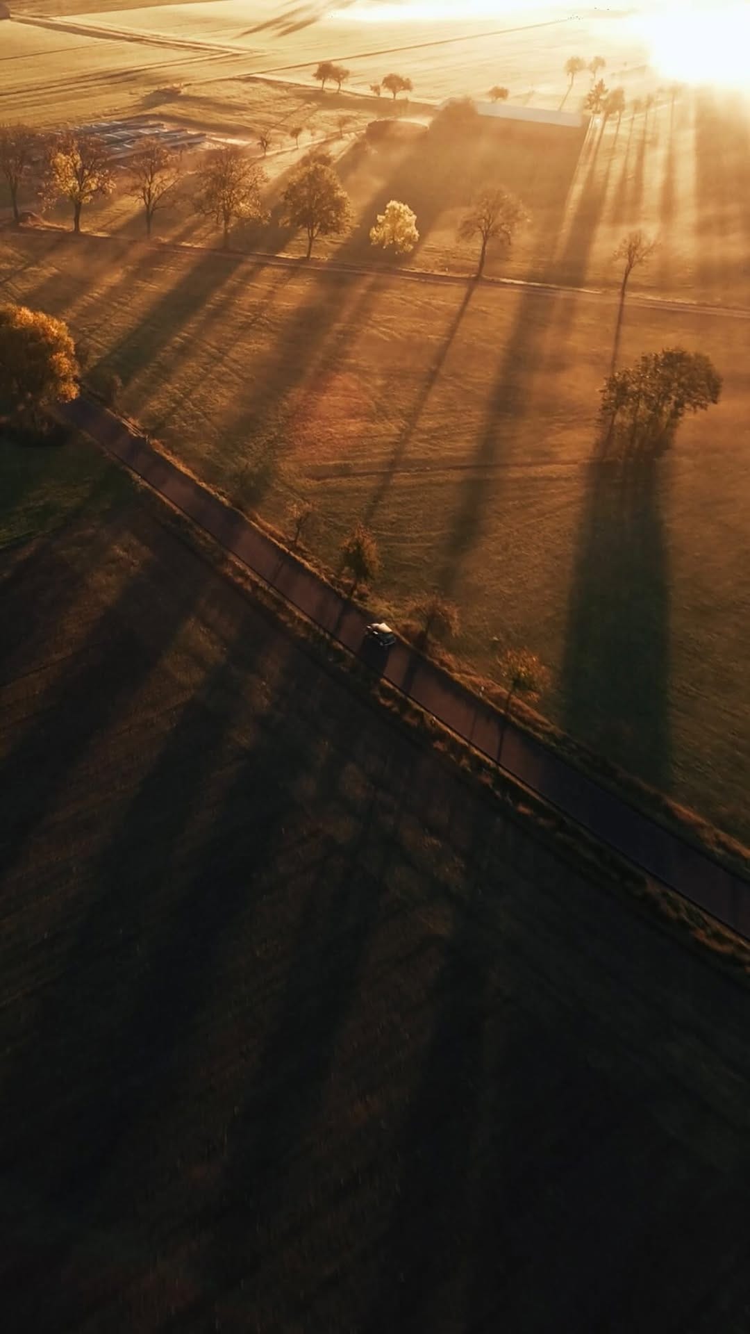 Post 10 by Julian Würzler on Instagram (video)