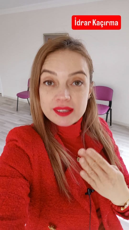 Post 3 by Sibel Orçan on Instagram (video)