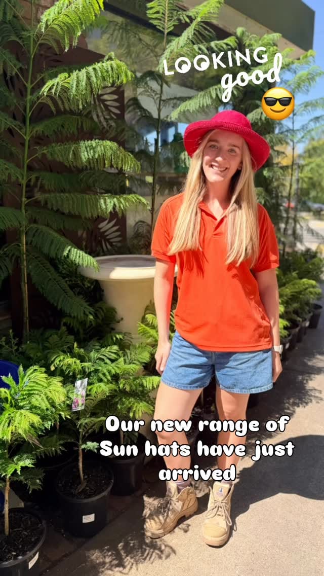Post 7 by Poyntons Nursery ™ on Instagram (video)