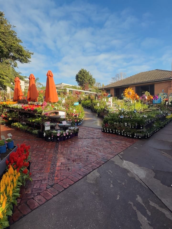Post 1 by Poyntons Nursery ™ on Instagram (carousel)