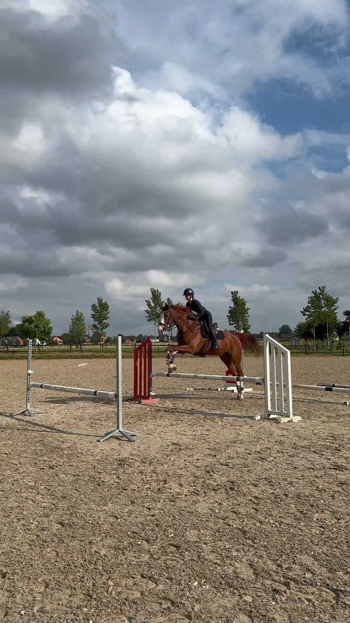 Post 4 by @_gigi_golden_ on Instagram (video)