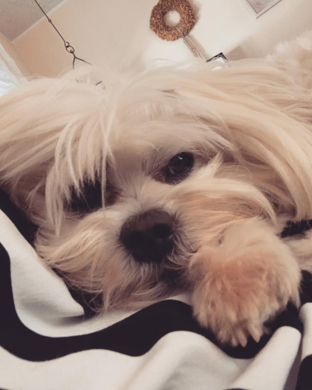 Post 3 by Emilio 💙 on Instagram (image)