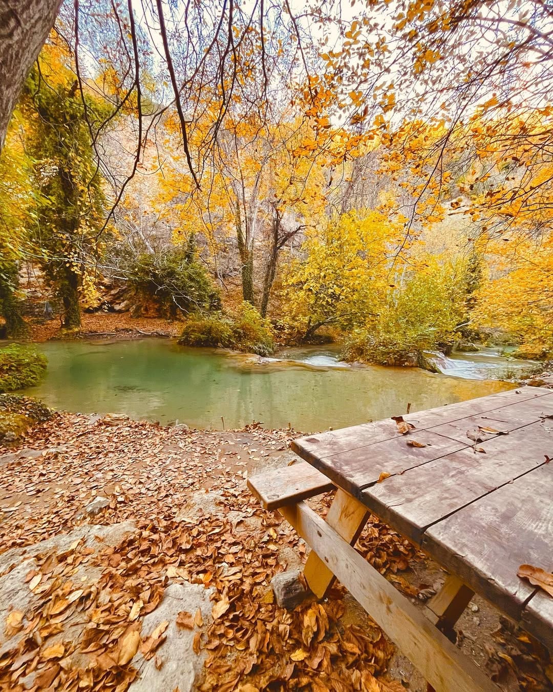 Post 10 by Kubra Yerebakan on Instagram (image)