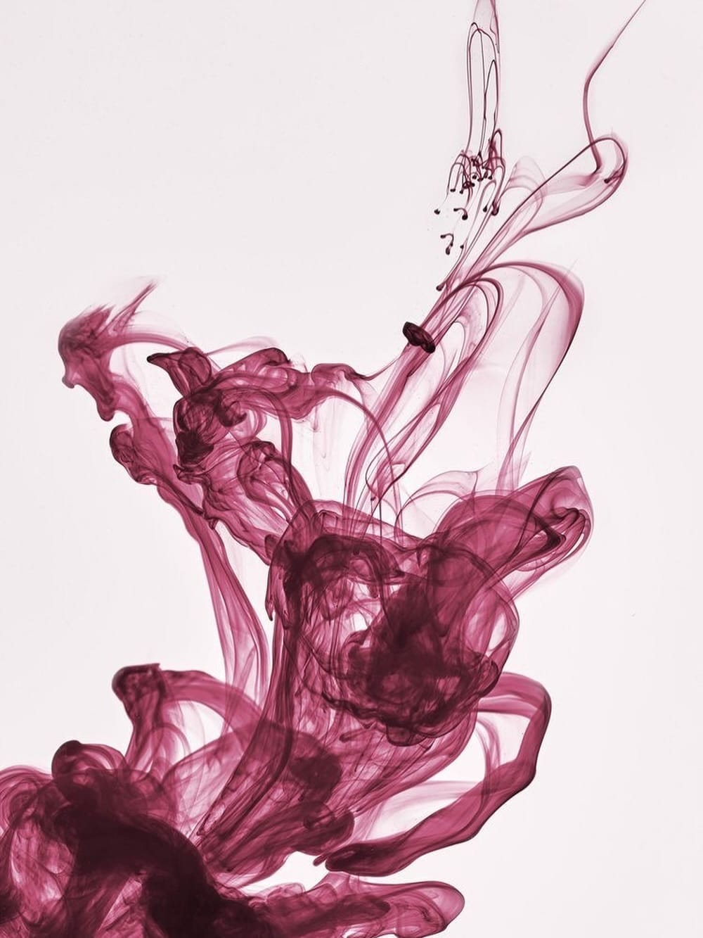 Post 5 by TUBA GÜÇLÜ BUTİK on Instagram (image)