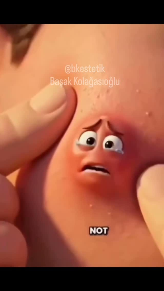 Post 2 by Başak Kolağasıoğlu on Instagram (video)