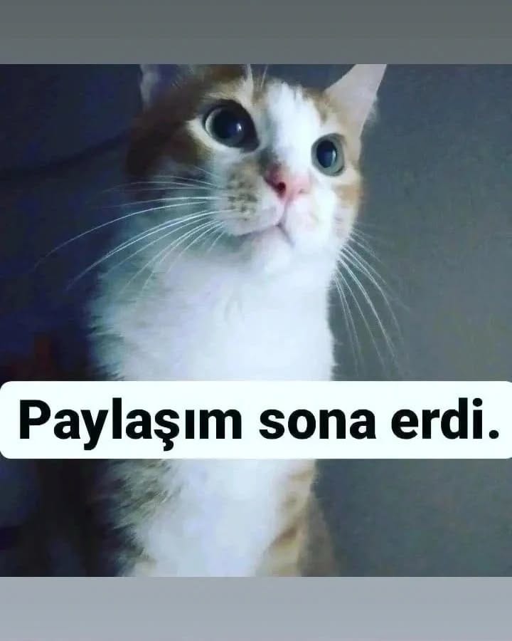 Post 1 by parçakumaş16 on Instagram (image)