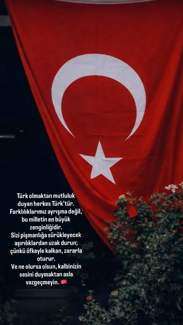 Post 2 by Sibel Temel on Instagram (video)