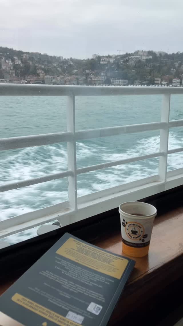 Post 7 by Sibel Temel on Instagram (video)