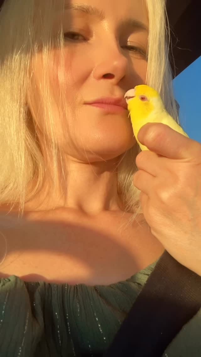 Post 6 by Sibel Temel on Instagram (video)