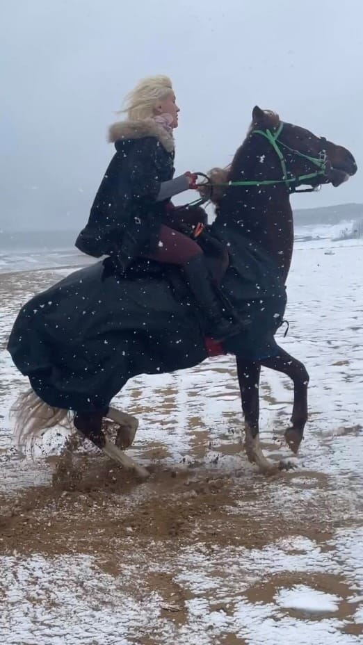 Post 4 by Sibel Temel on Instagram (video)