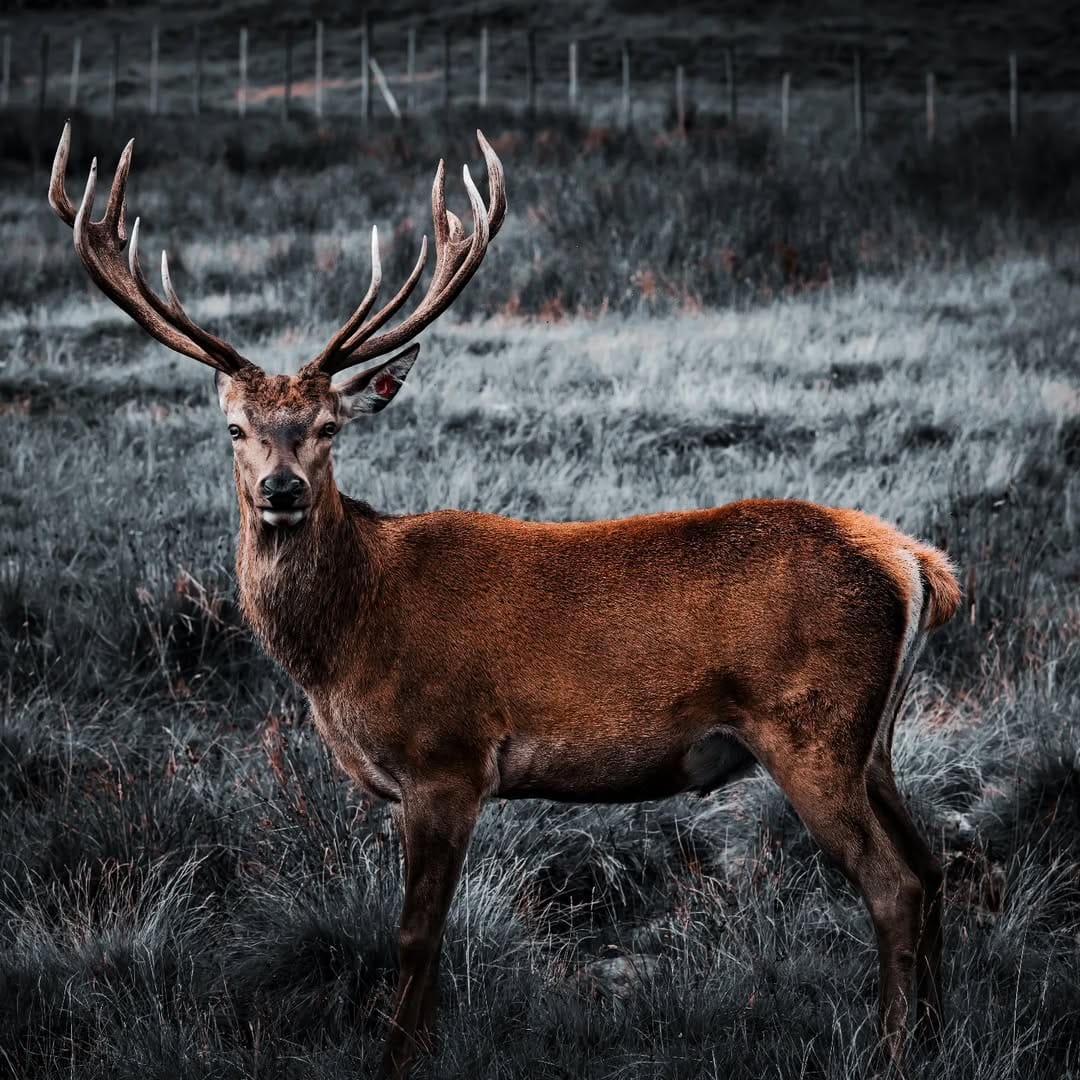 Post 1 by David on Instagram (image)