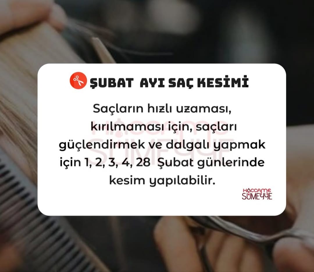 Post 1 by Hacamat & Sülük on Instagram (image)