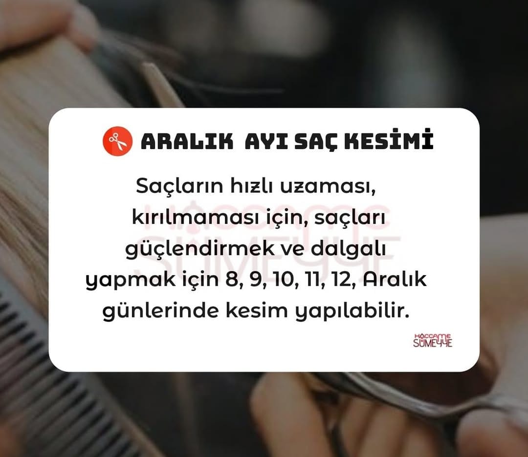Post 10 by Hacamat & Sülük on Instagram (image)