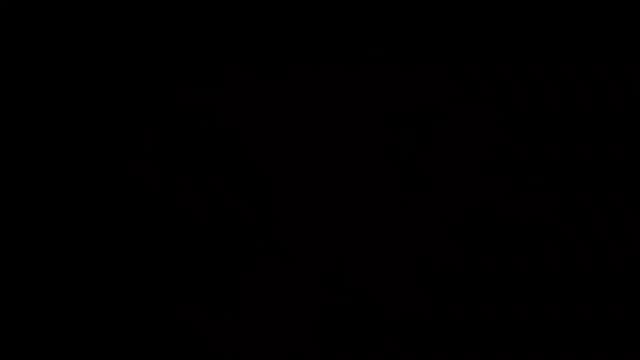 Post 8 by Şirin Kamrany on Instagram (video)