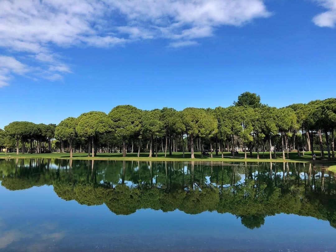 Post 2 by 🍃Ebru Ertek Sezer on Instagram (image)