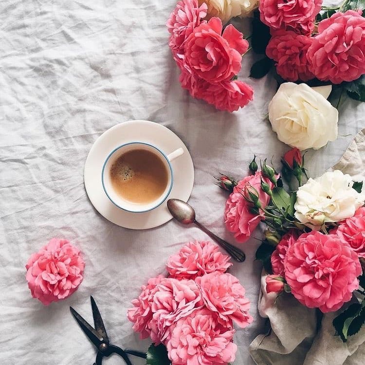 Post 5 by @bordo_ojem on Instagram (image)