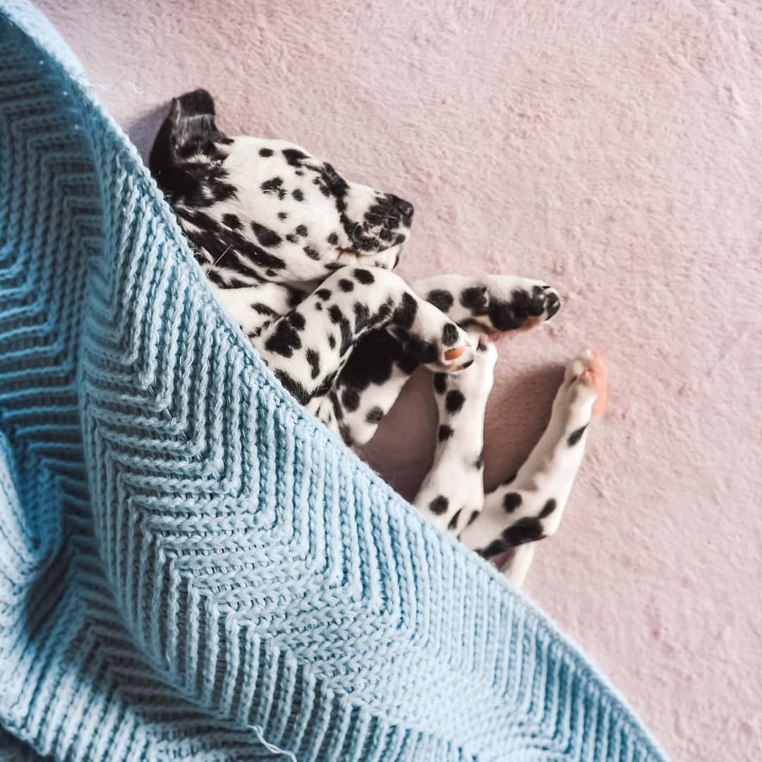 Post 6 by 𝐸𝓂𝓂𝒶 🐾 on Instagram (image)