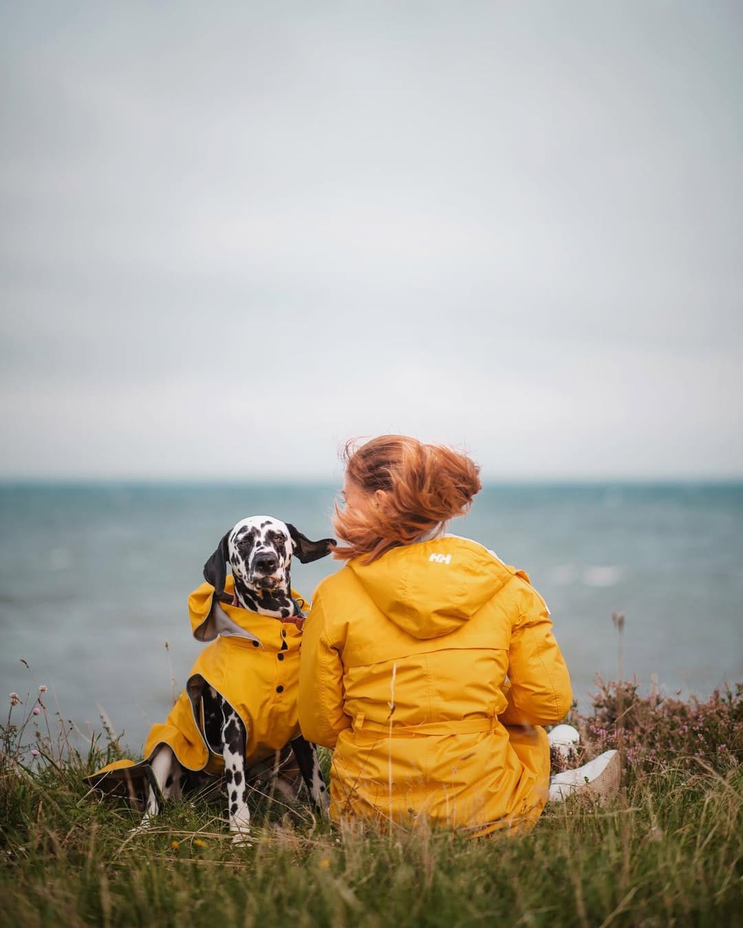 Post 5 by 𝐸𝓂𝓂𝒶 🐾 on Instagram (image)