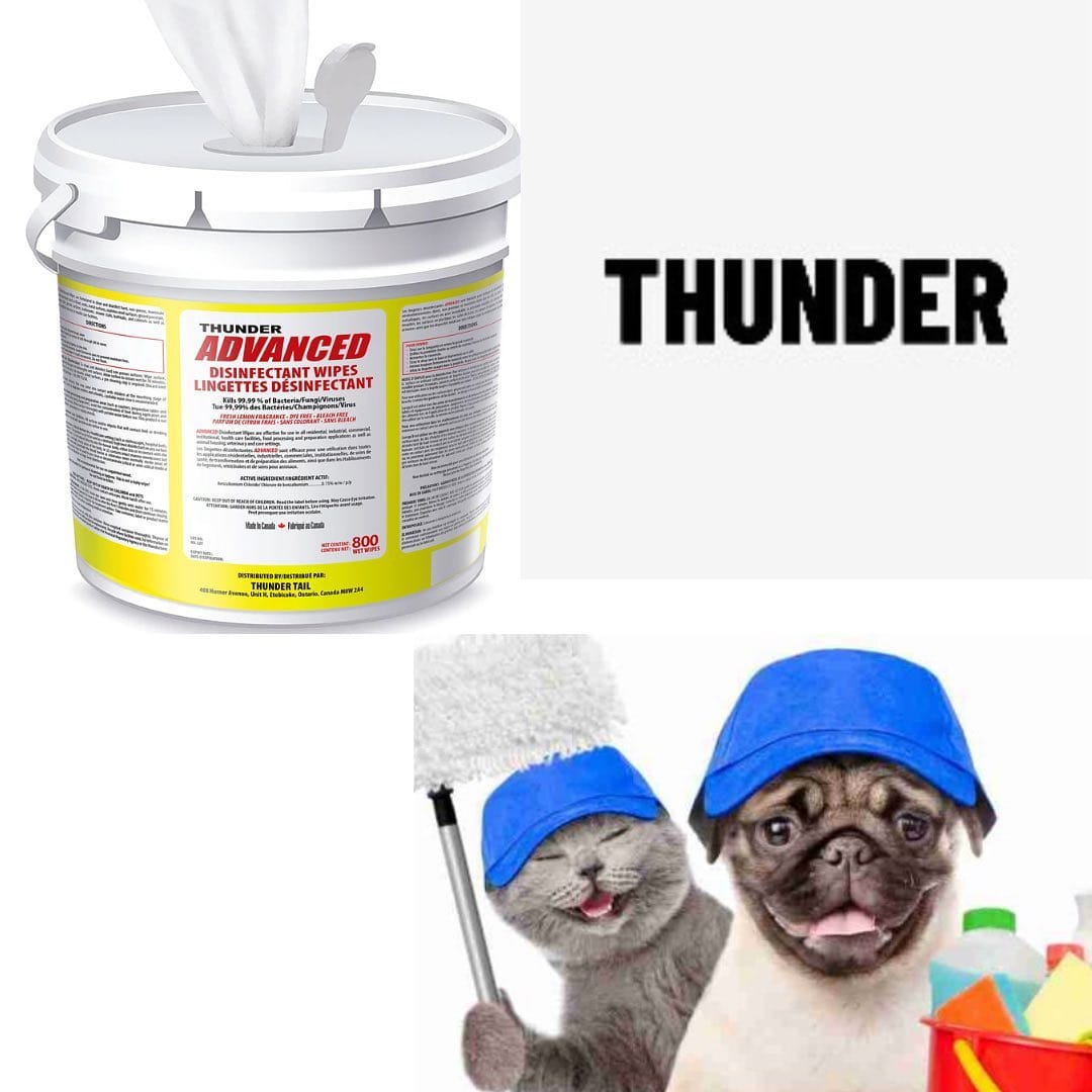 Post 2 by Thunder Disinfectants on Instagram (image)