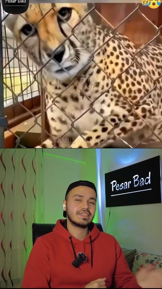 Post 10 by Pesar Bad on Instagram (video)