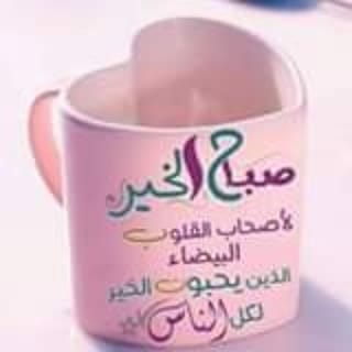 Post 9 by Ramy Jaber on Instagram (image)