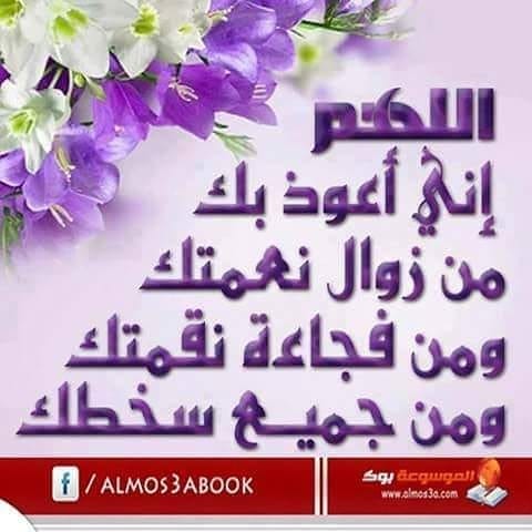 Post 6 by Ramy Jaber on Instagram (image)
