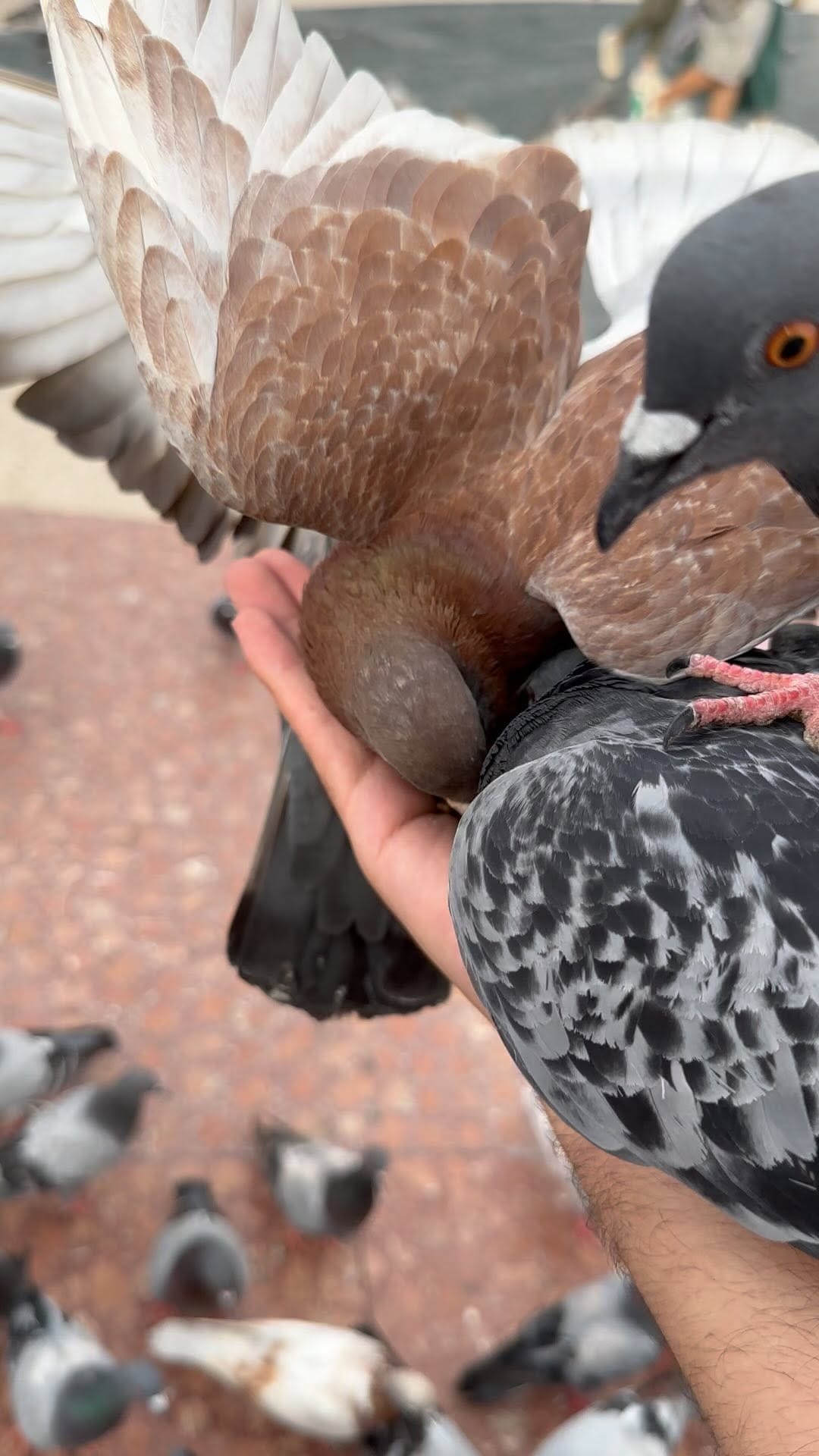 Post 4 by @72q2 on Instagram (video)