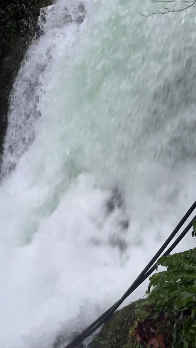 Post 10 by Çağrı Collection on Instagram (video)