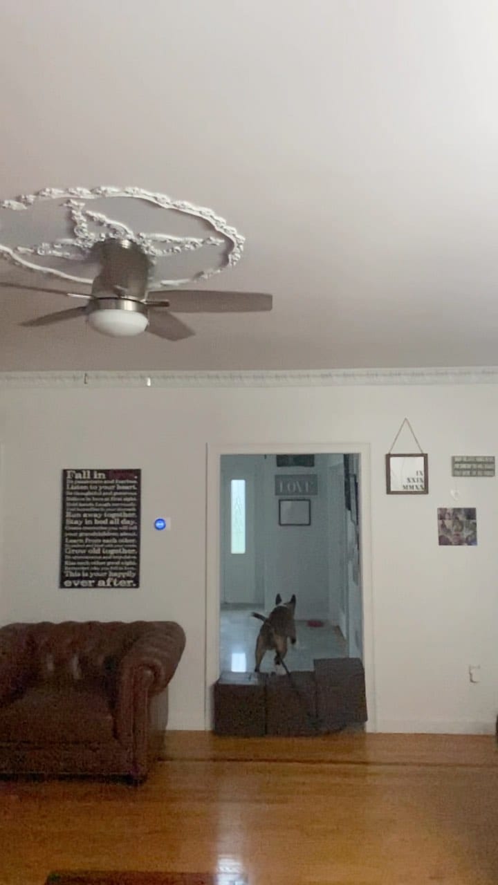 Post 1 by Sebi C on Instagram (video)