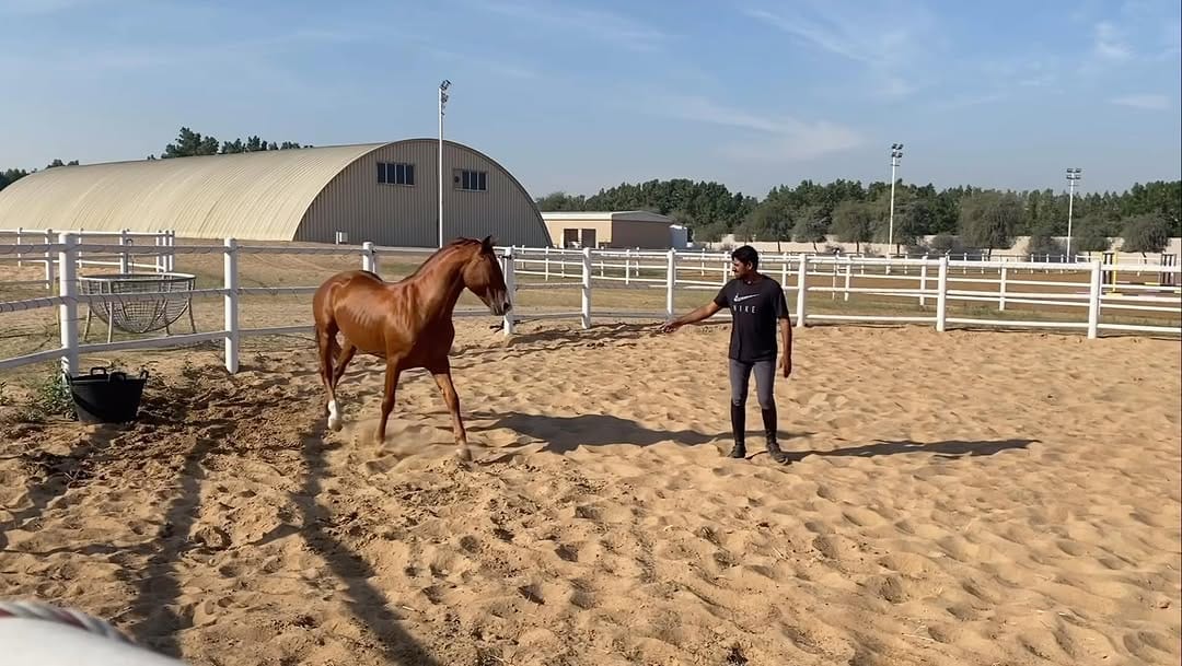 Post 4 by !    Mohammed Al Kumaiti on Instagram (video)