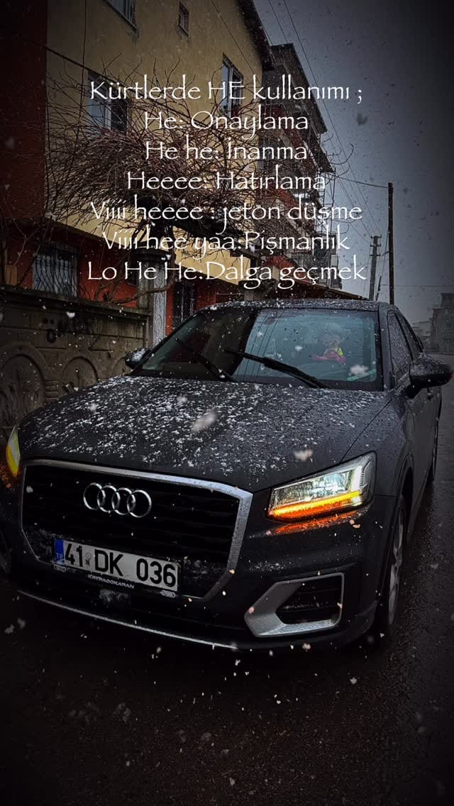 Post 2 by Dilek Aksoy on Instagram (video)
