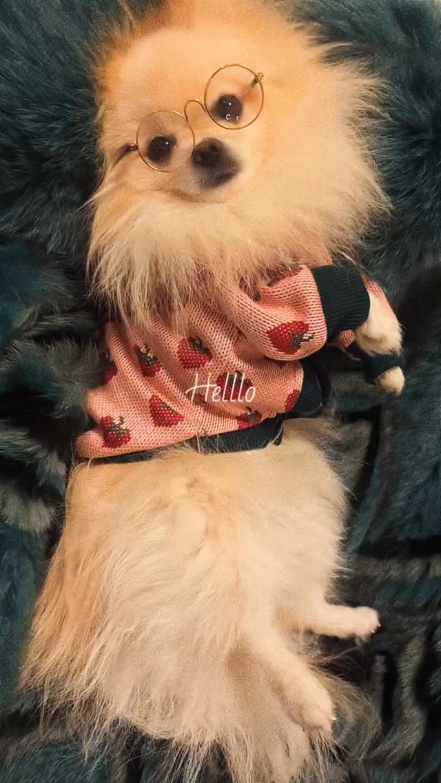 Post 4 by Mirna jarrah on Instagram (video)