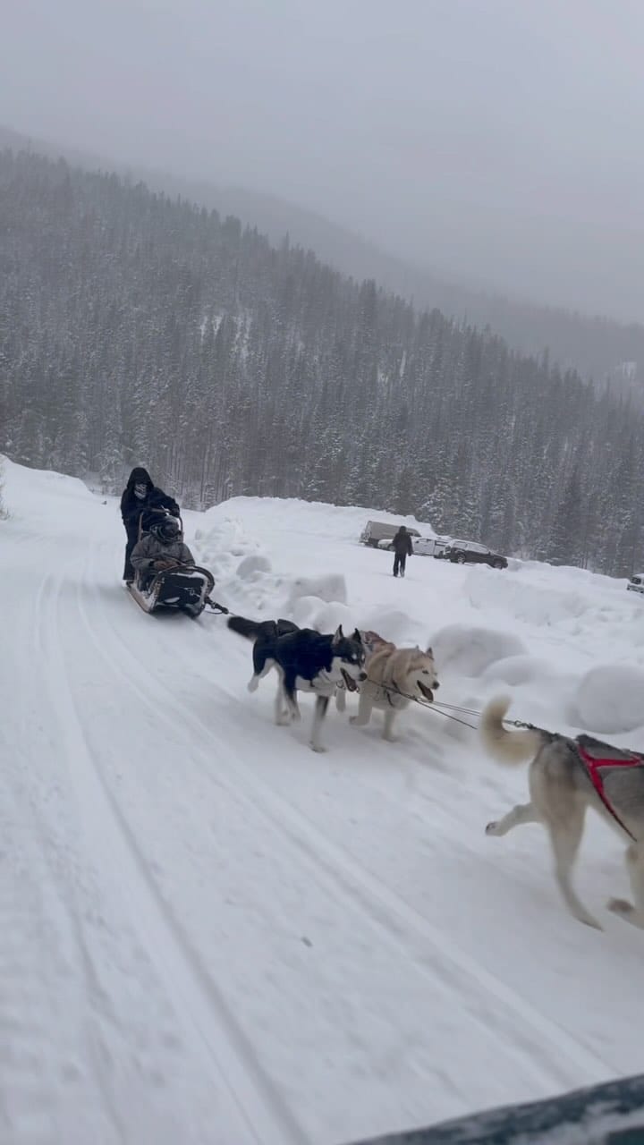 Post 9 by Tara Mesler on Instagram (video)