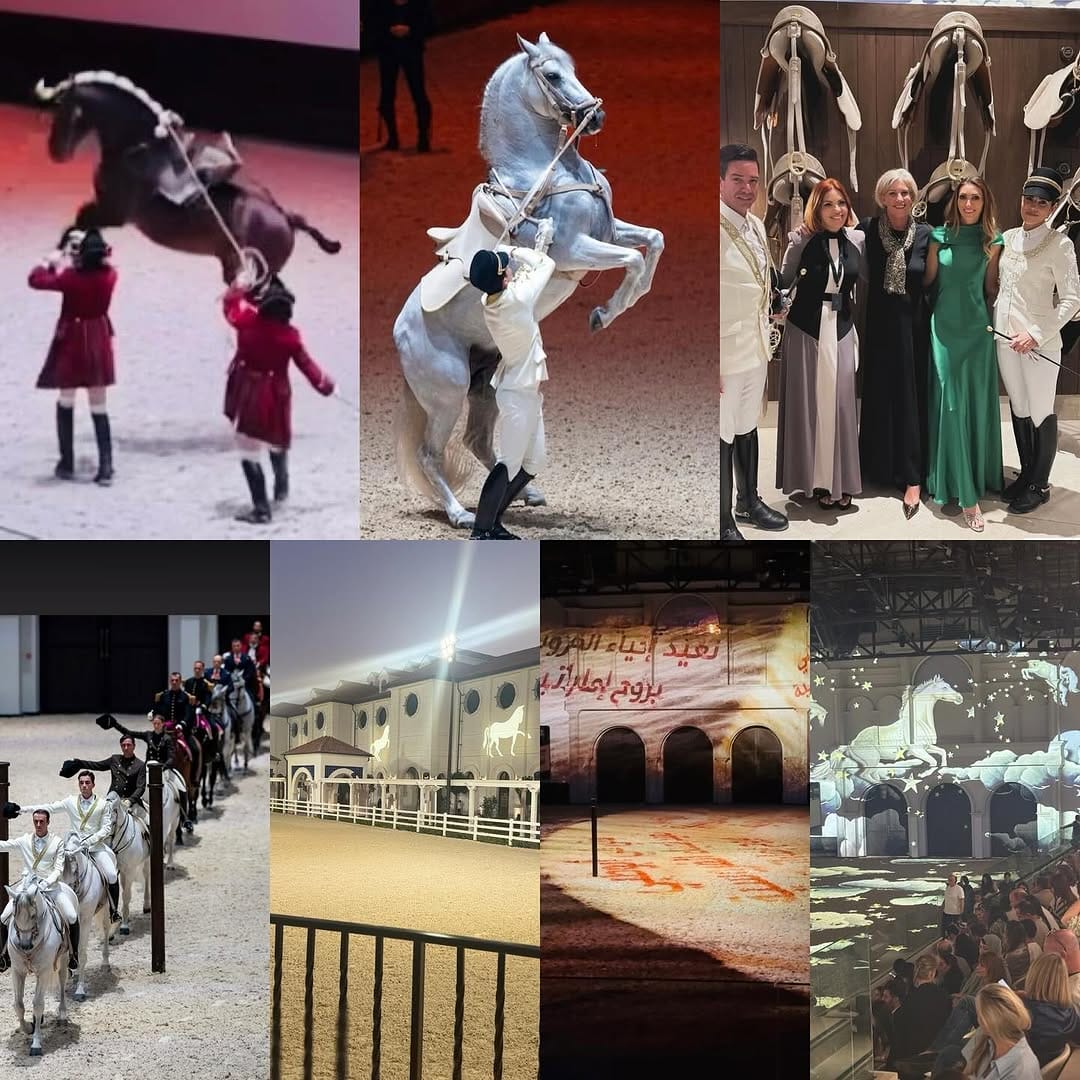 Post 3 by Bruno Cid on Instagram (image)