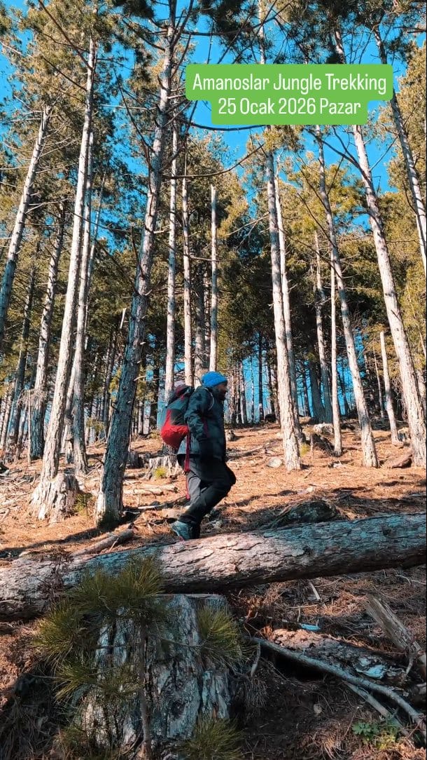 Post 8 by Melih Erozan 🍀 on Instagram (video)