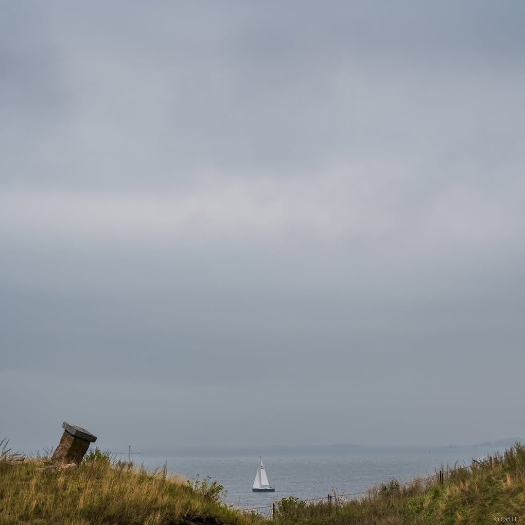 Post 2 by Carl on Instagram (image)
