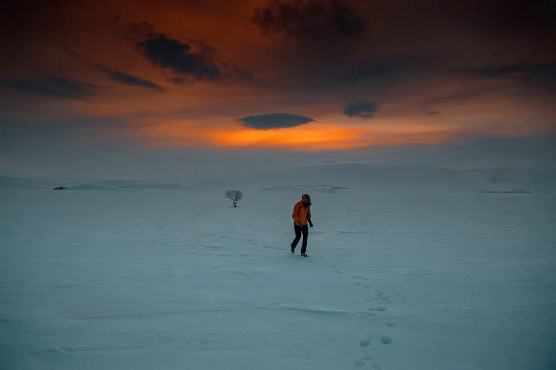 Post 3 by Taylan Özgür on Instagram (image)