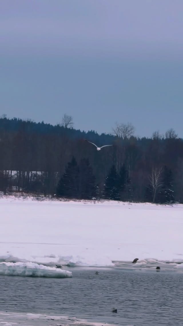 Post 1 by Naveen Thomas on Instagram (video)