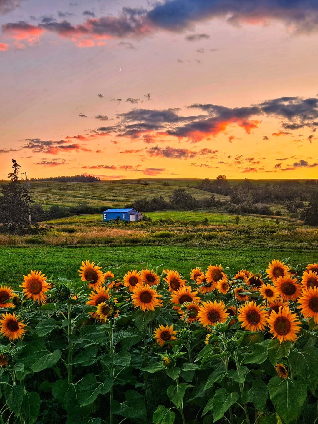 Post 4 by Naveen Thomas on Instagram (image)