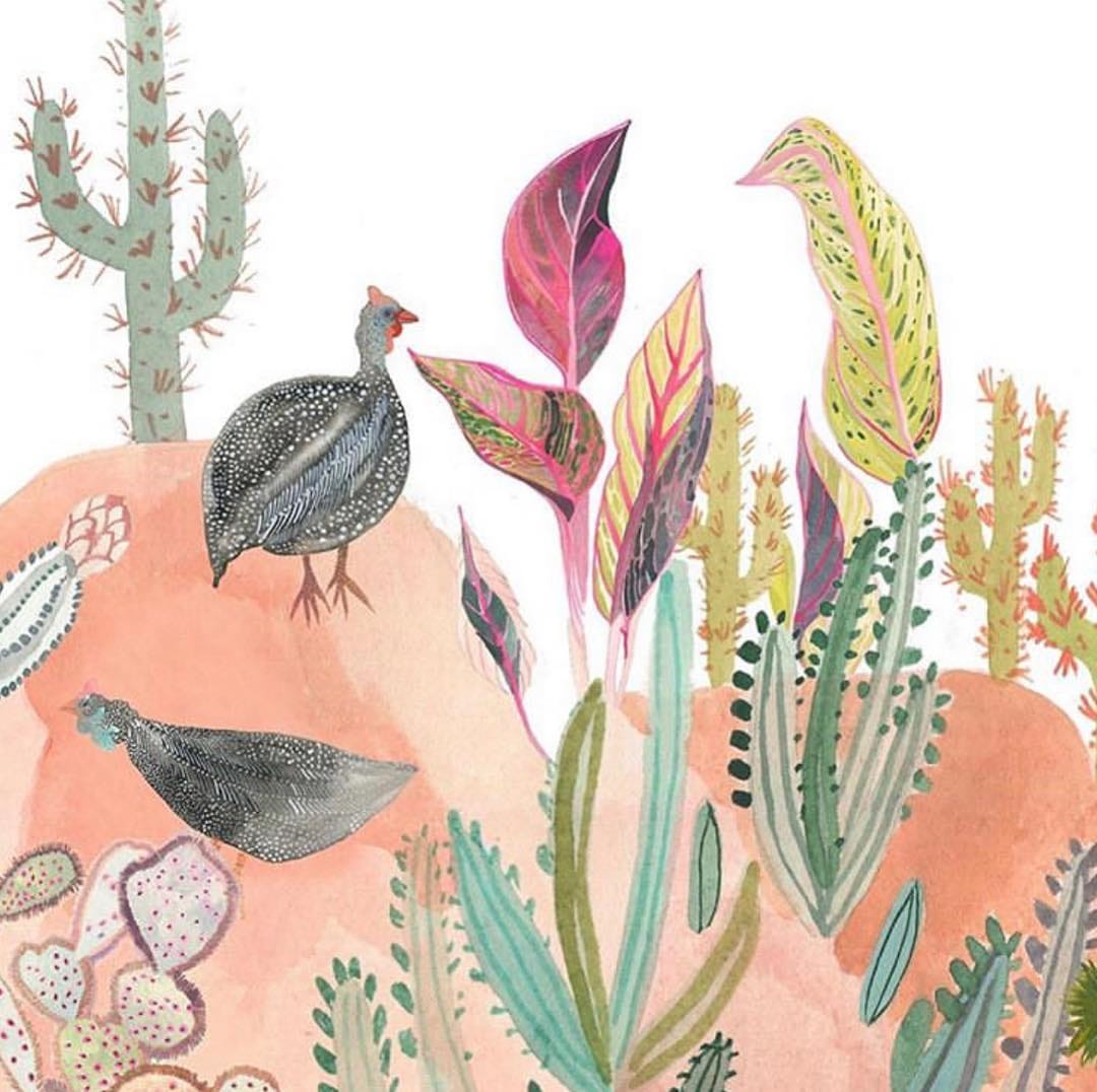 Post 2 by Saguaro Market on Instagram (image)