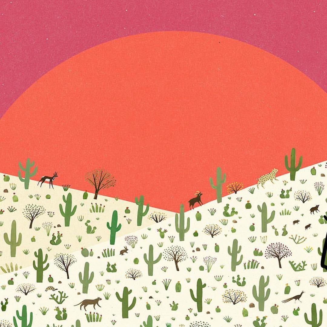 Post 9 by Saguaro Market on Instagram (image)