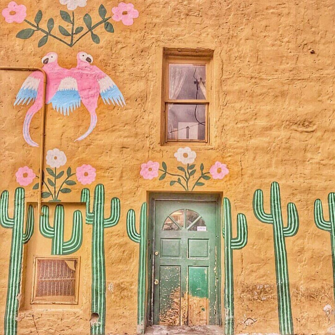 Post 10 by Saguaro Market on Instagram (image)