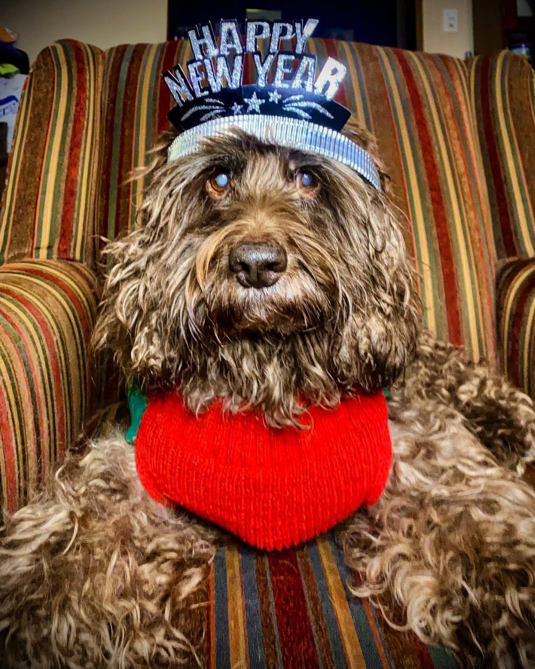 Post 6 by Murphy on Instagram (image)