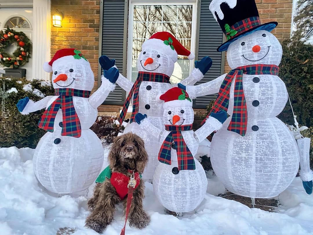 Post 1 by Murphy on Instagram (image)