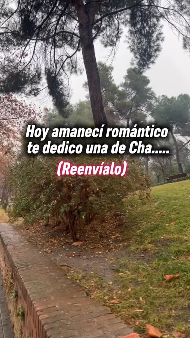 Post 5 by Jorge Luis Segovia on Instagram (video)