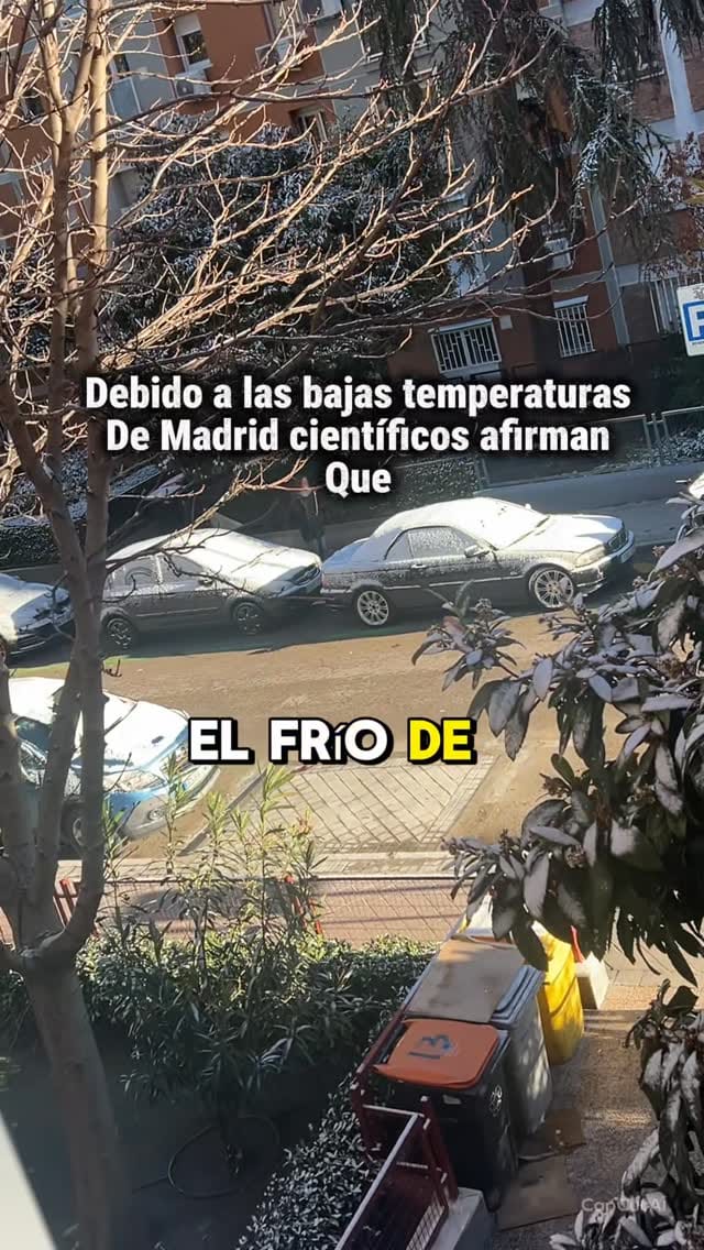 Post 3 by Jorge Luis Segovia on Instagram (video)